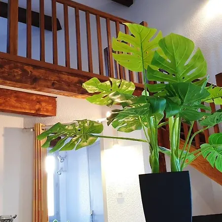 Maison De 3 Chambres A Avec Piscine Partagee Et Wifi A 30 Km De La Plage *